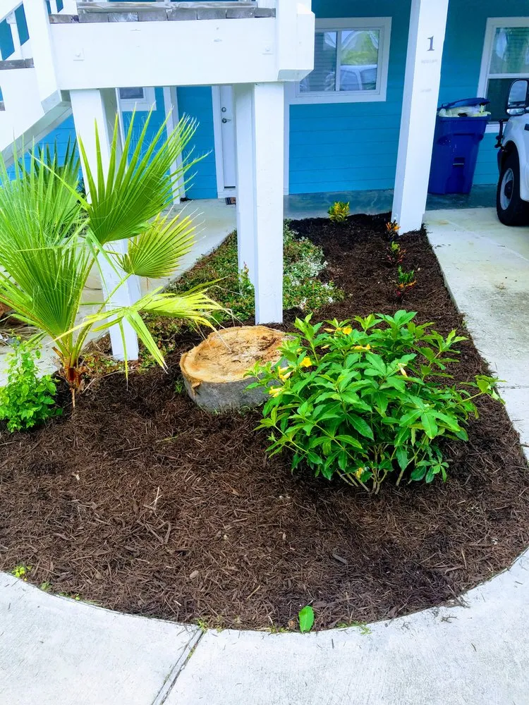 Affordable landscaping services experts serving Fulton, TX - Texas Turf