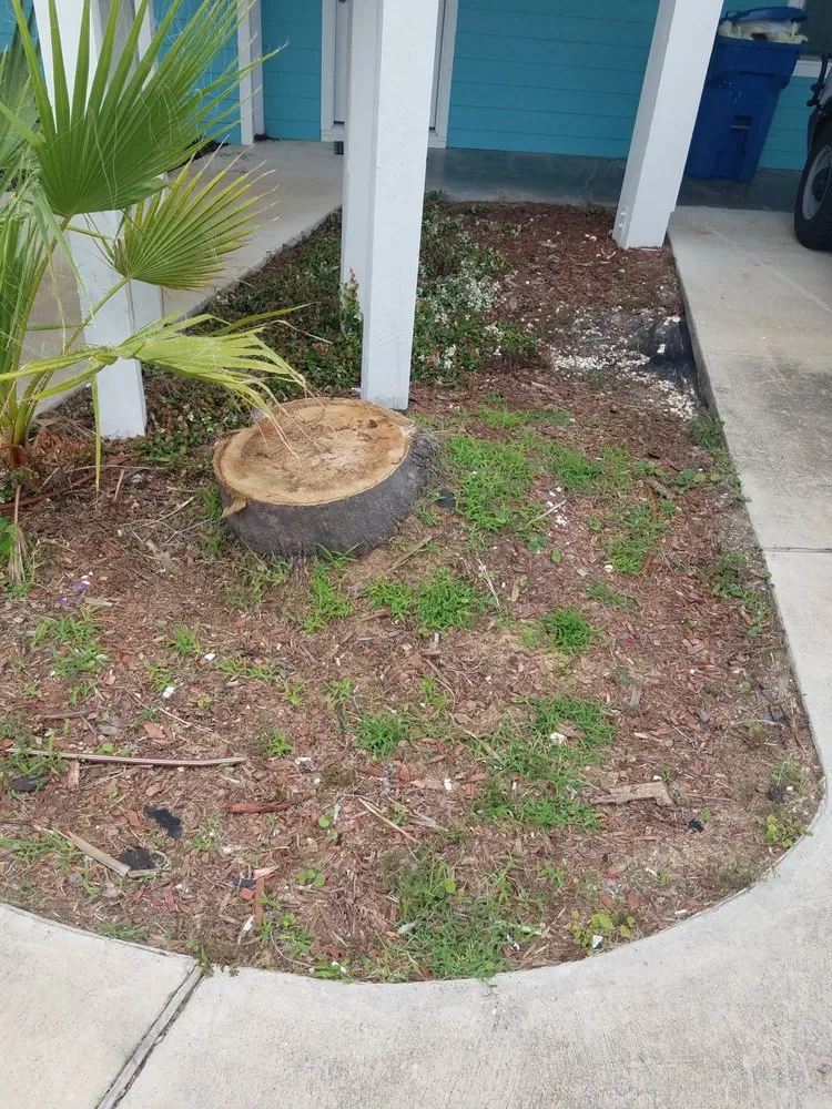 Reliable landscaping services near you across Fulton, TX - Texas Turf