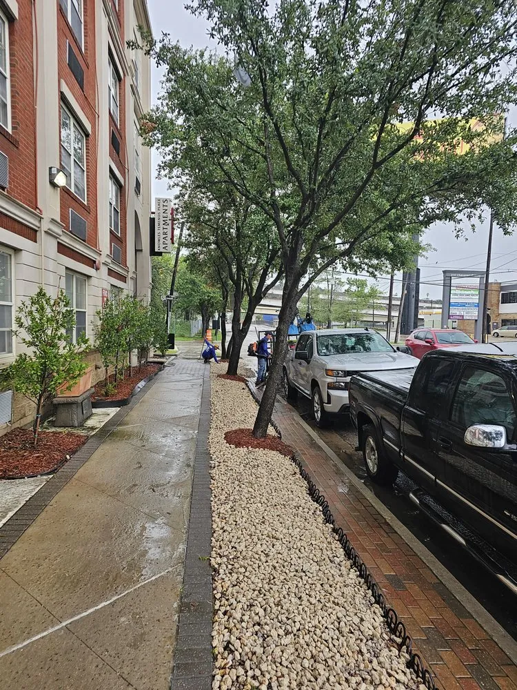 Top-rated outdoor landscaping in Houston, TX - Texas Turf Landscaping