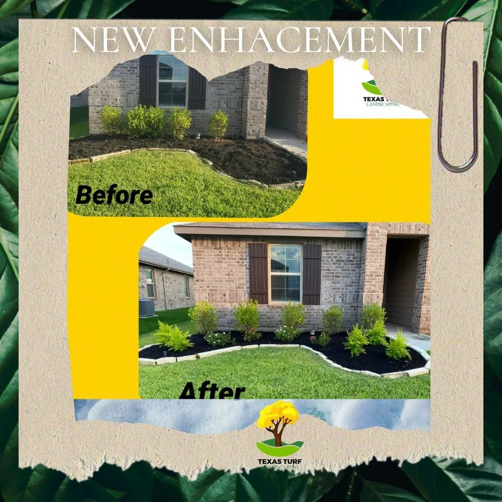 Affordable landscape installation in Houston, TX - Texas Turf Landscaping