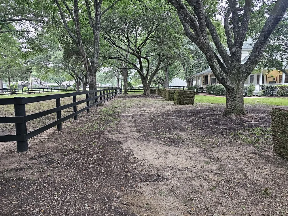 Local landscape installation near you across Houston, TX - Texas Turf Landscaping