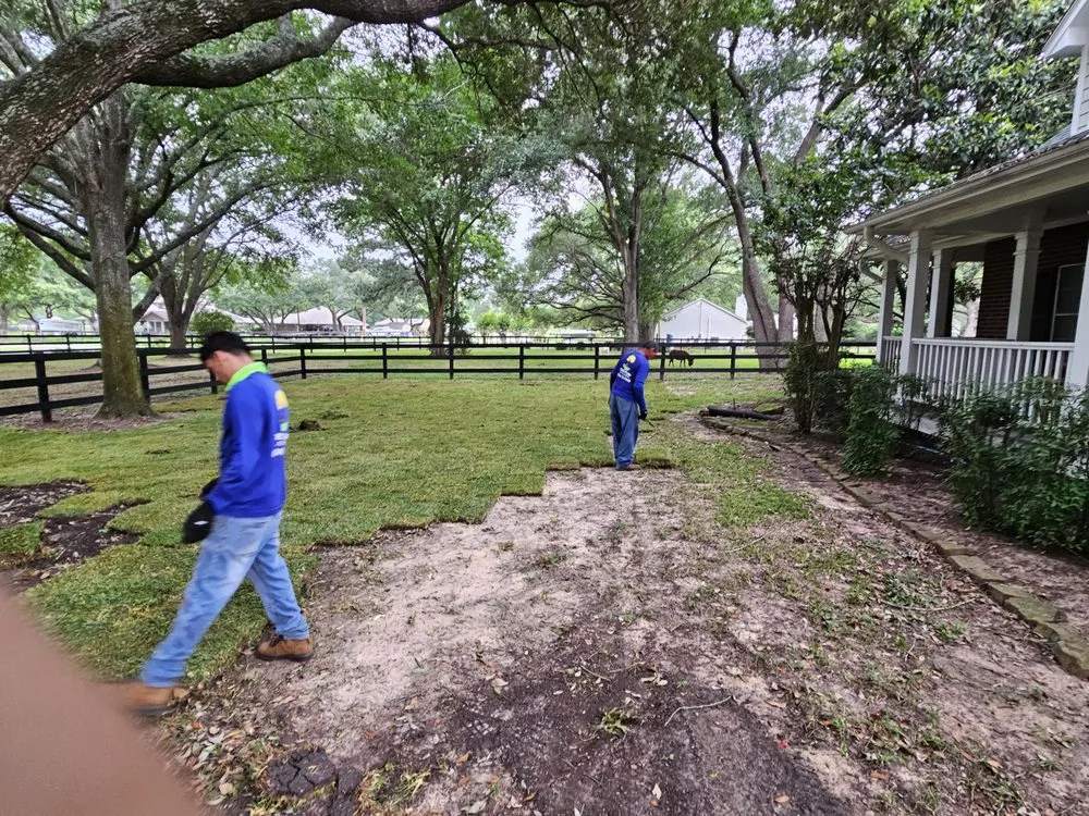 Expert landscaping services for outdoor upgrades across Houston, TX - Texas Turf Landscaping
