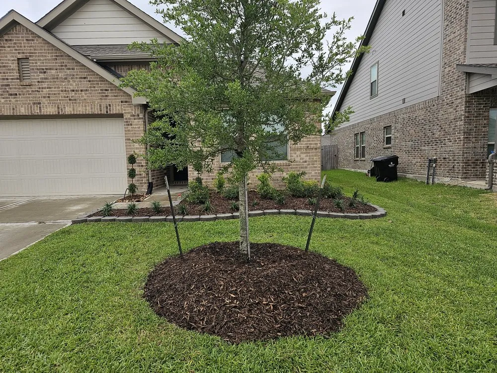 Trusted lawn care service for beautiful yards in Houston, TX by Texas Turf Landscaping