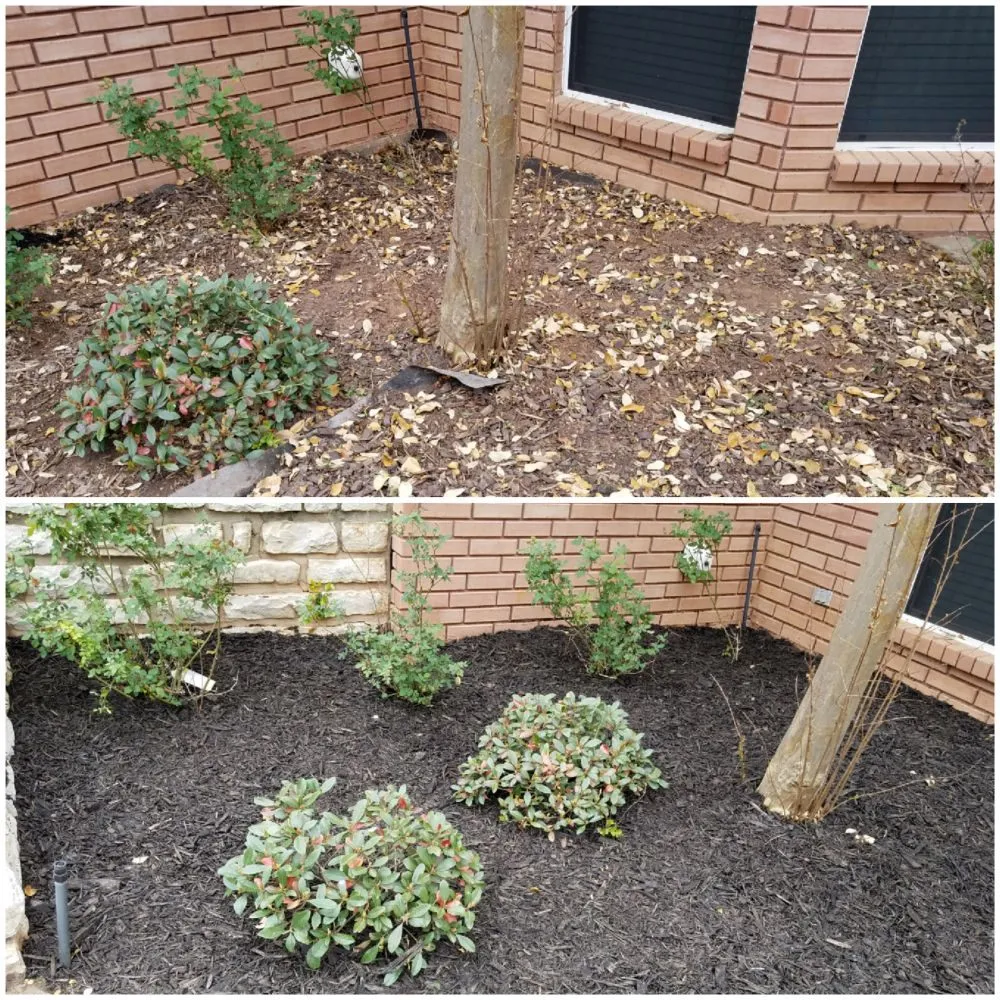 Expert yard maintenance near you in Granbury, TX by Texas Turf Lawn Care