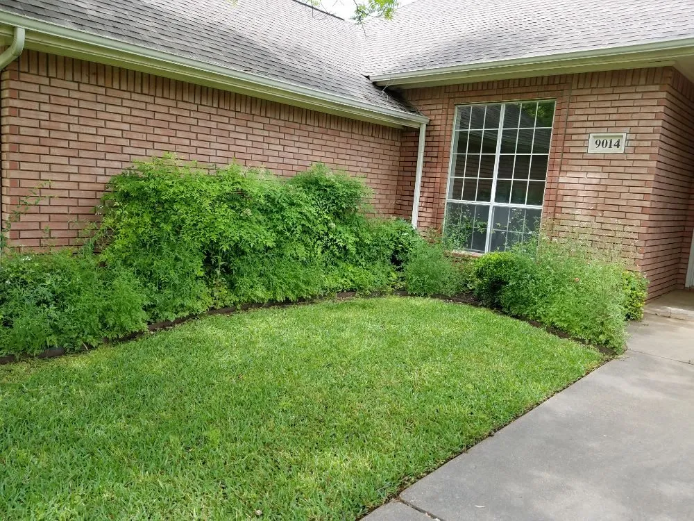 Trusted yard maintenance with custom design across Granbury, TX - Texas Turf Lawn Care