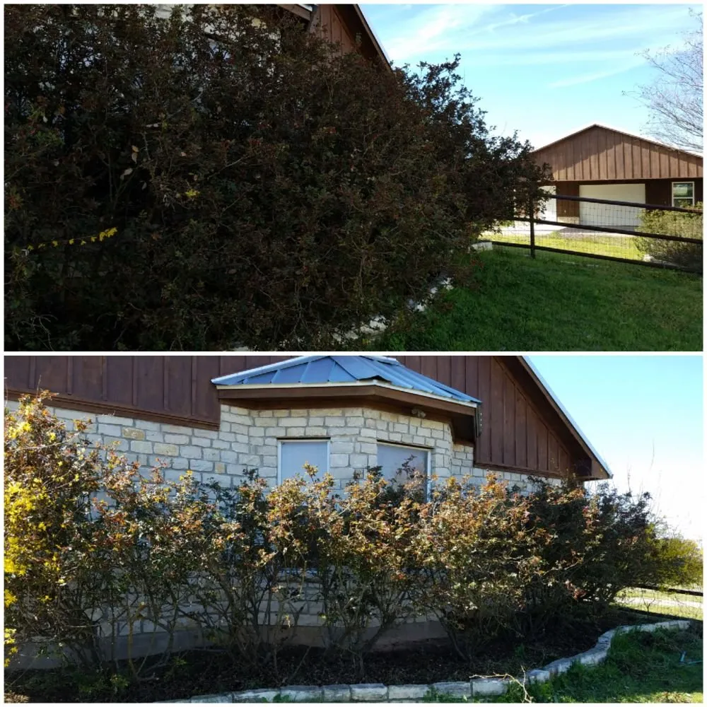 Professional landscape installation for beautiful yards in Granbury, TX by Texas Turf Lawn Care