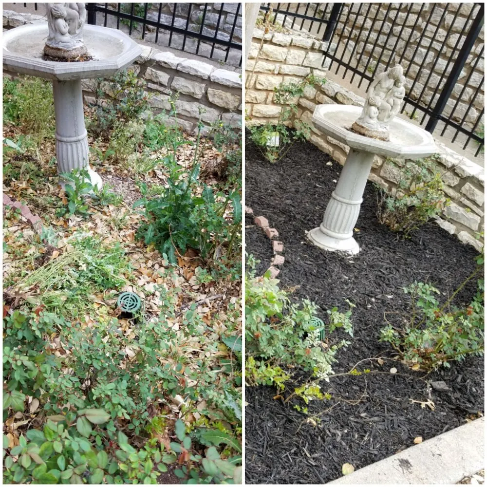 Local residential landscaping experts serving Granbury, TX - Texas Turf Lawn Care