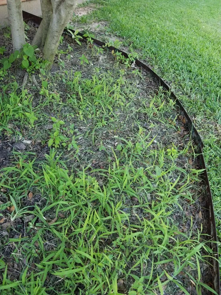 Local lawn mowing service for year-round maintenance in Granbury, TX by Texas Turf Lawn Care