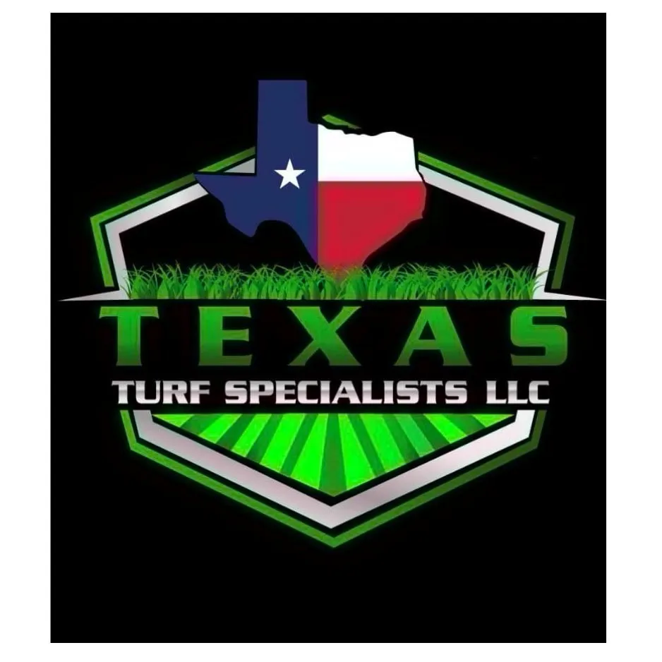 Reliable lawn mowing service for outdoor upgrades across Richmond, TX - Texas Turf Specialists