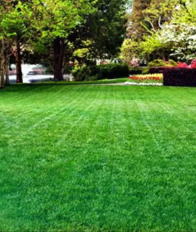 Trusted garden landscaping in Richmond, TX - Texas Turf Specialists