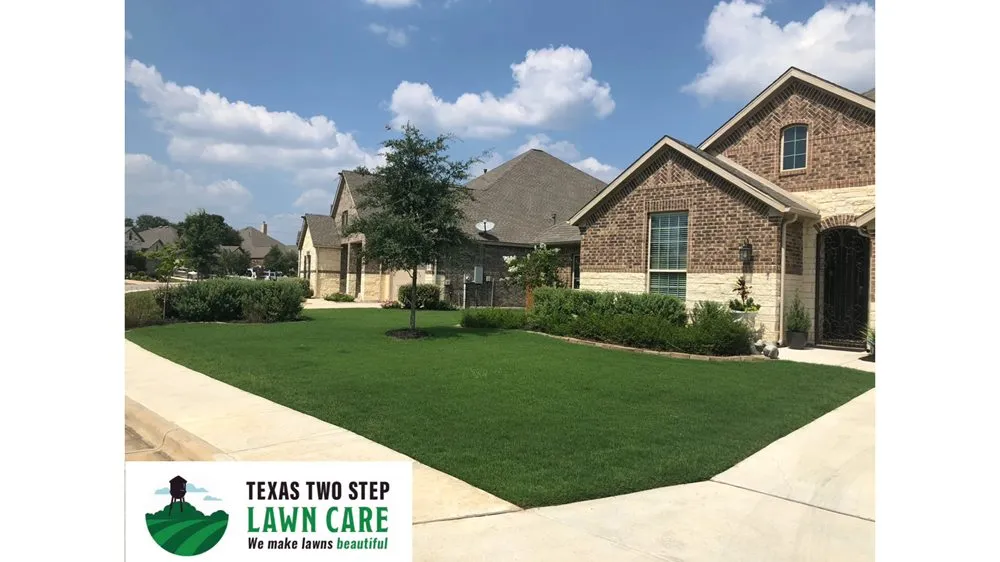 Affordable yard cleanup service in New Braunfels, TX - Texas Two Step Lawn Care