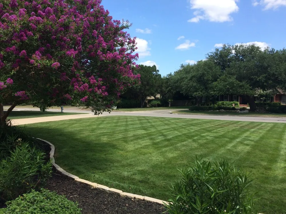 Custom garden landscaping experts serving New Braunfels, TX - Texas Two Step Lawn Care