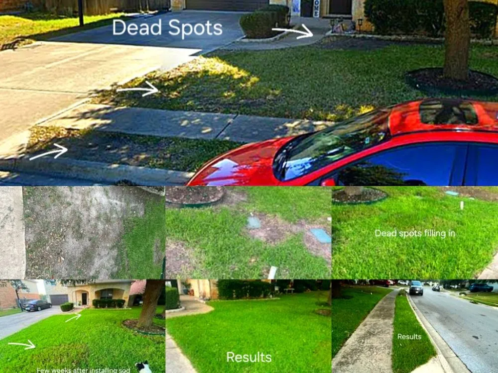 Top-rated residential landscaping for year-round maintenance across San Antonio, TX - Texas Verdant Vistas