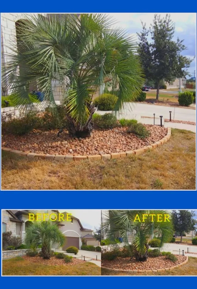 Expert landscape design for beautiful yards in San Antonio, TX by Texas Verdant Vistas