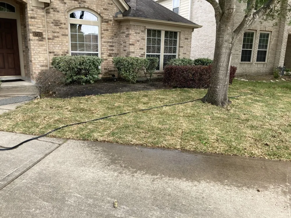 Top-rated garden landscaping for year-round maintenance across Houston, TX - Texas Vines Landscape