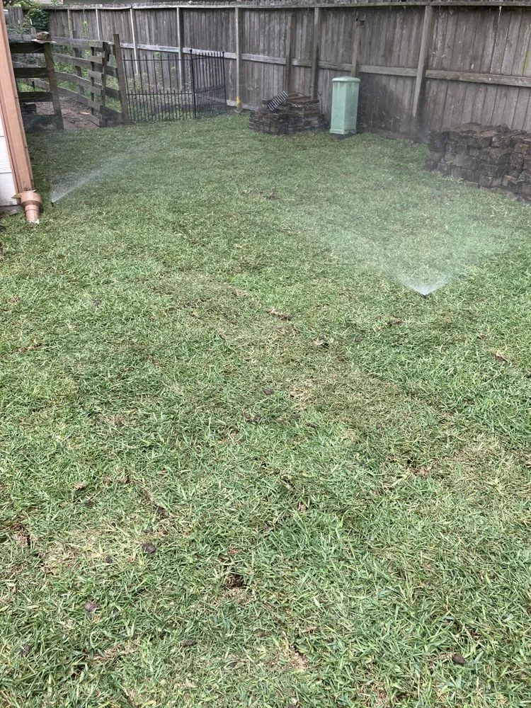 Professional lawn care service experts serving Houston, TX - Texas Vines Landscape