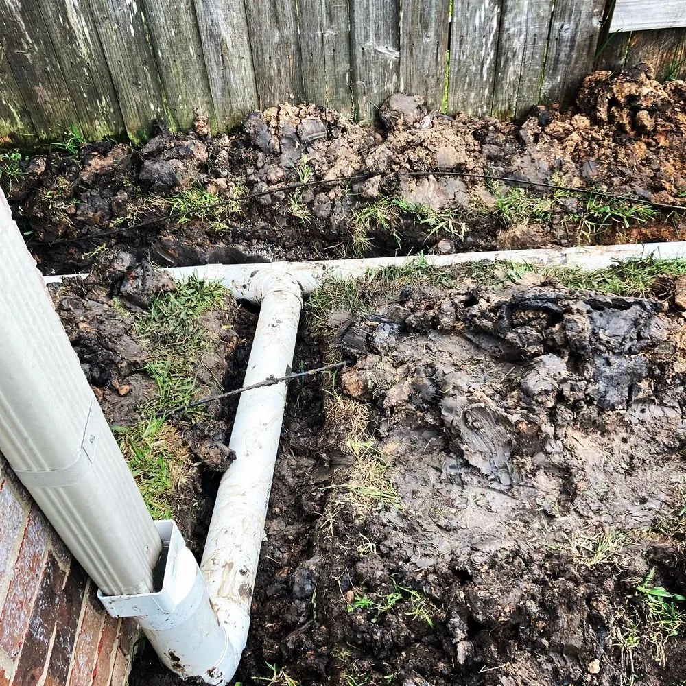 Affordable landscaping services for outdoor upgrades in Houston, TX by Texas Vines Landscape