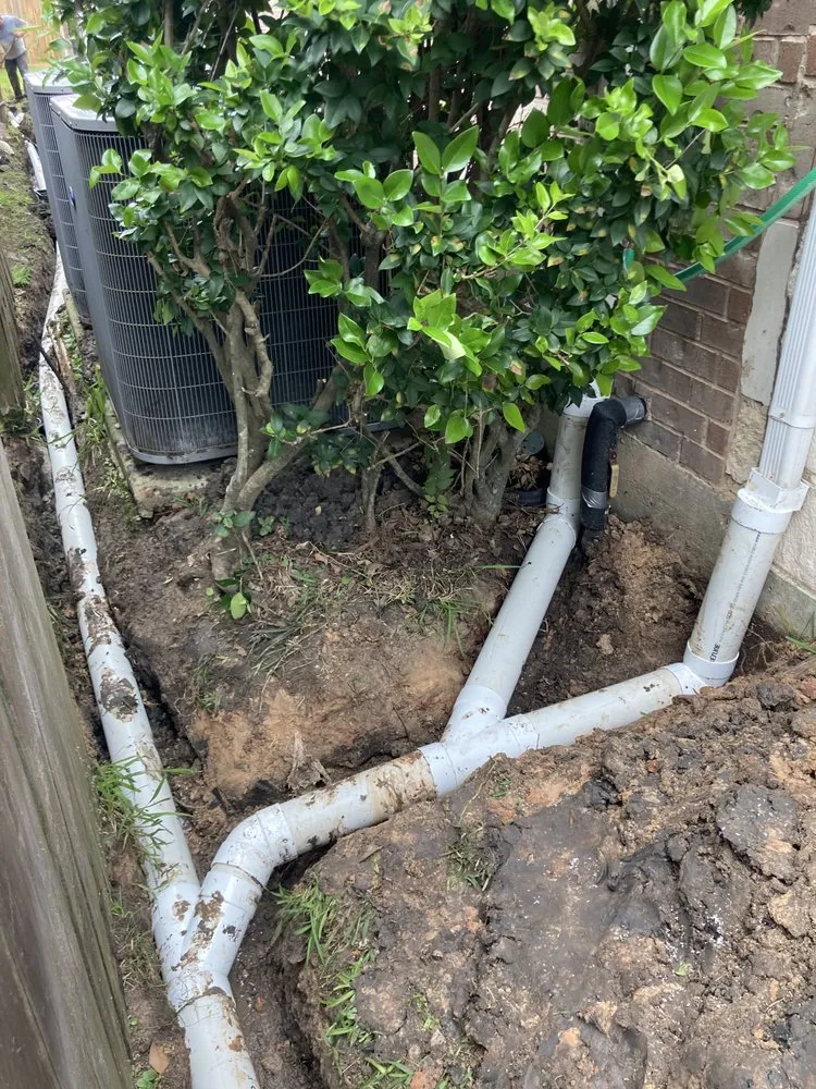 Reliable landscaping services for year-round maintenance in Houston, TX by Texas Vines Landscape