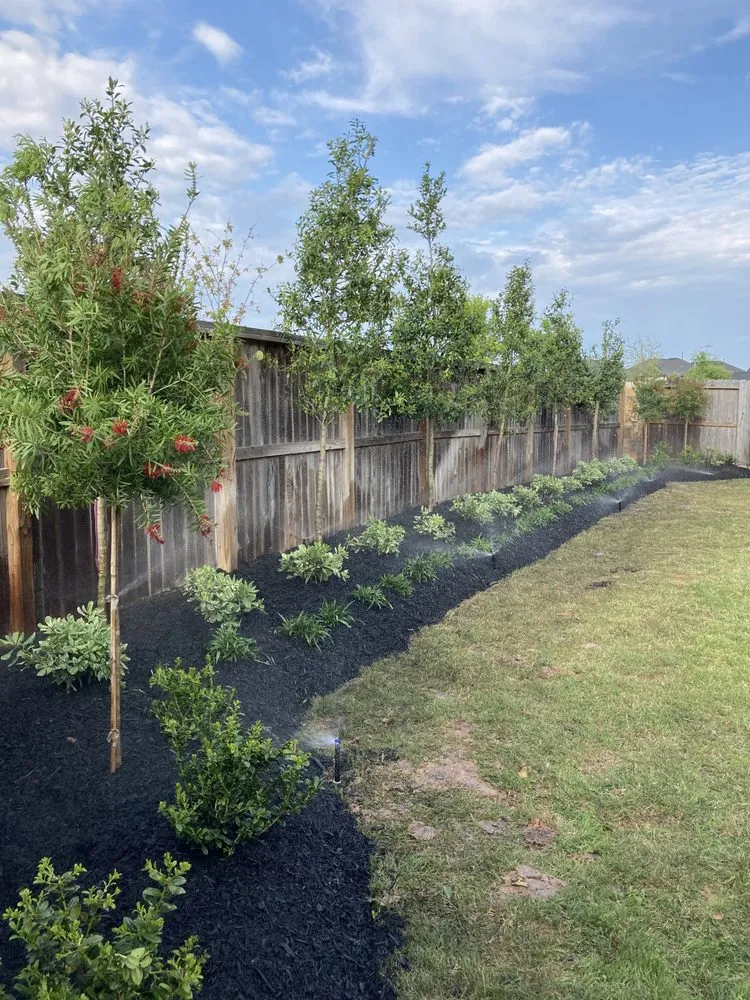 Affordable outdoor landscaping in Houston, TX - Texas Vines Landscape