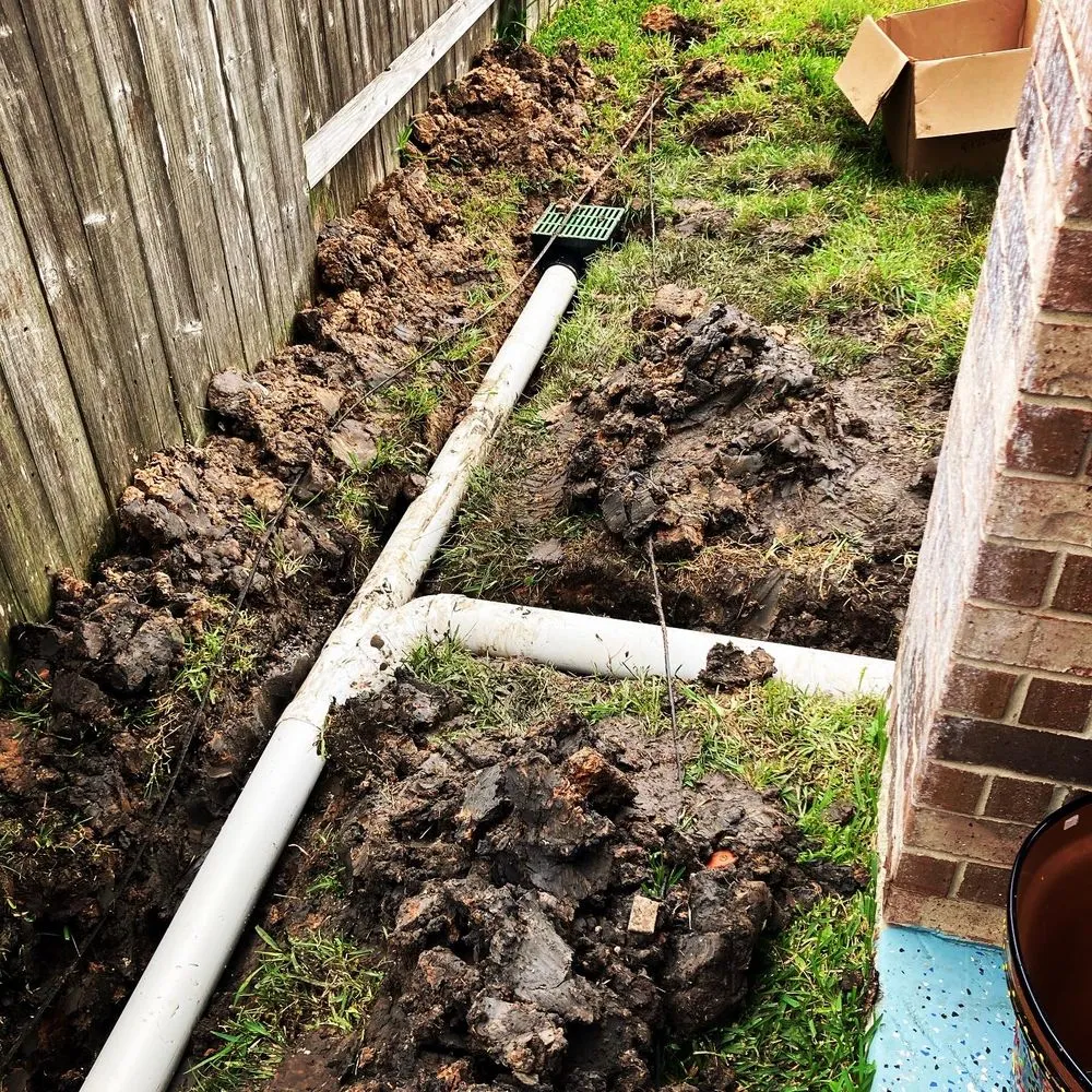 Local landscape design in Houston, TX - Texas Vines Landscape