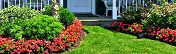 Professional yard maintenance for beautiful yards across Farmers Branch, TX - Texas Watering Solutions