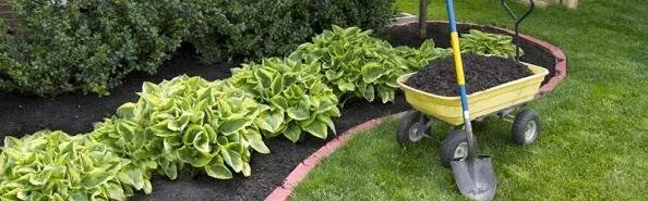 Expert landscaping services experts serving Farmers Branch, TX - Texas Watering Solutions