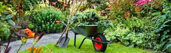 Texas Watering Solutions