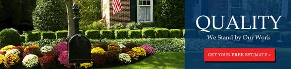 Texas Wide Landscaping Logo