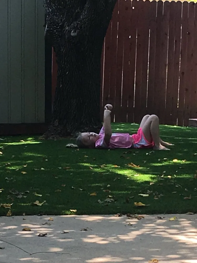 Top-rated landscaping services in Lakeway, TX - TexasTurf