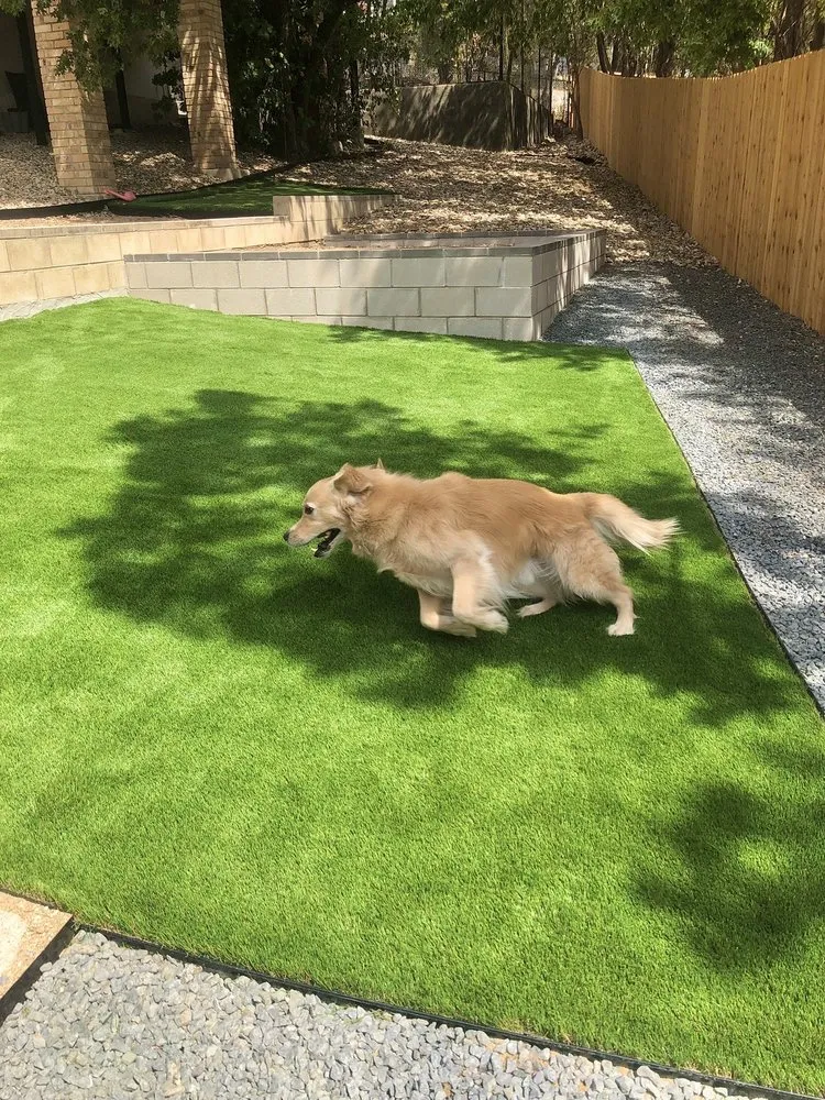 Expert lawn care service for year-round maintenance across Lakeway, TX - TexasTurf