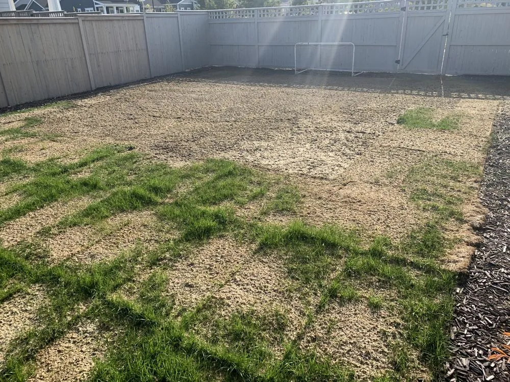 Local lawn mowing service for beautiful yards across Midvale, UT - TexCare Lawncare