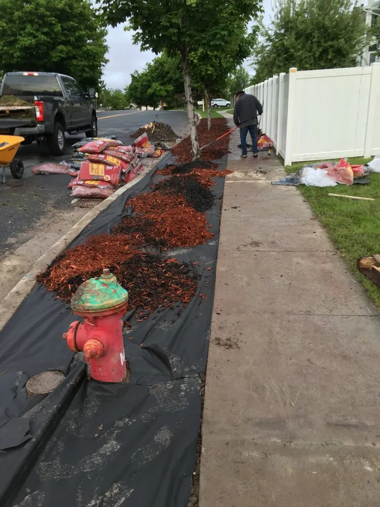 Top-rated lawn mowing service for beautiful yards across Midvale, UT - TexCare Lawncare