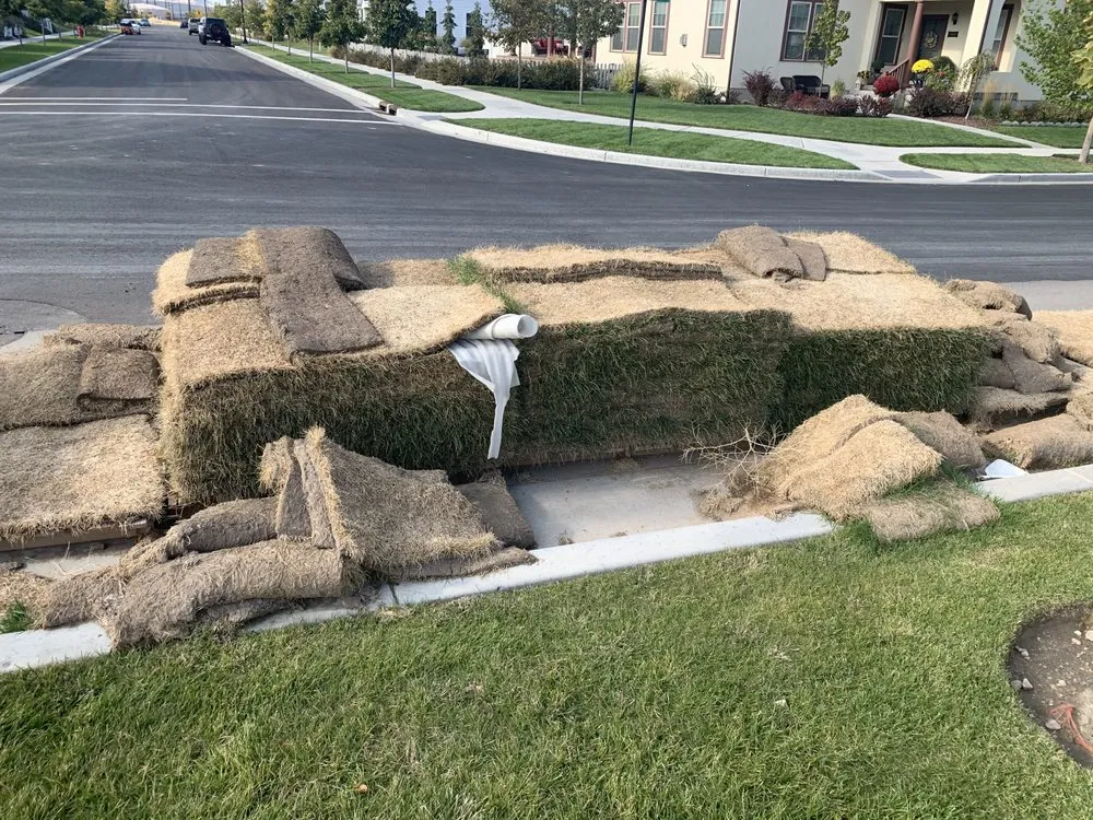 Trusted yard cleanup service experts serving Midvale, UT - TexCare Lawncare