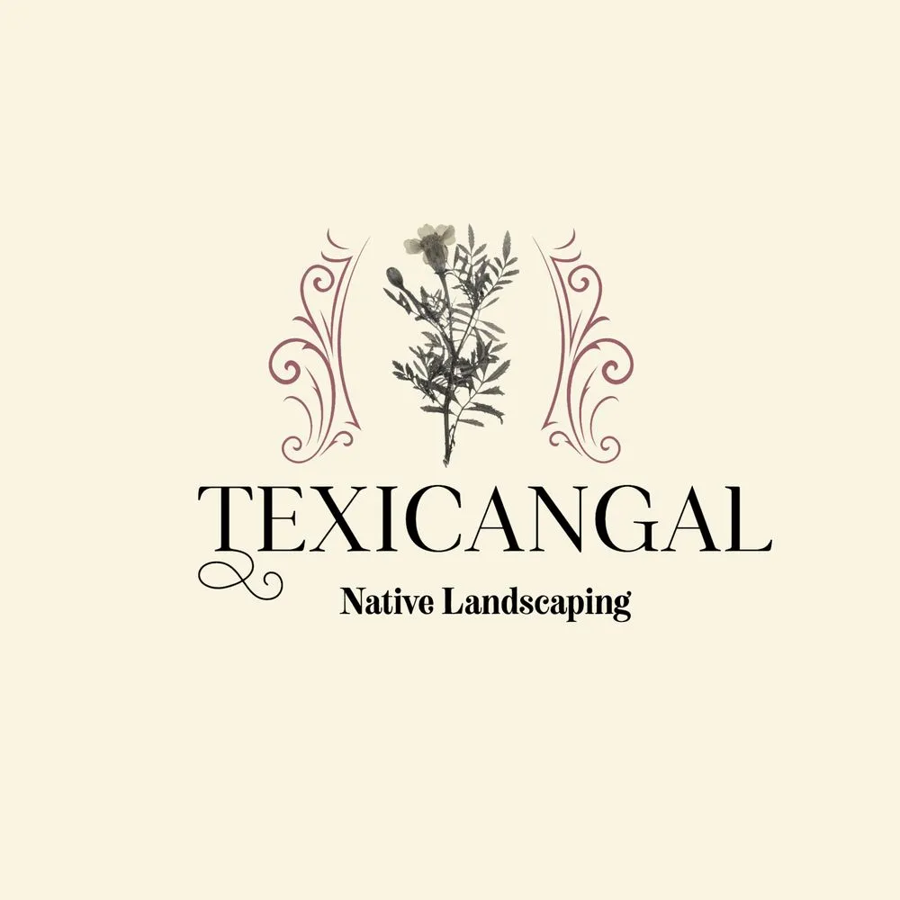 Professional residential landscaping for residential properties in San Marcos, TX by Texicangal Landscape & Design