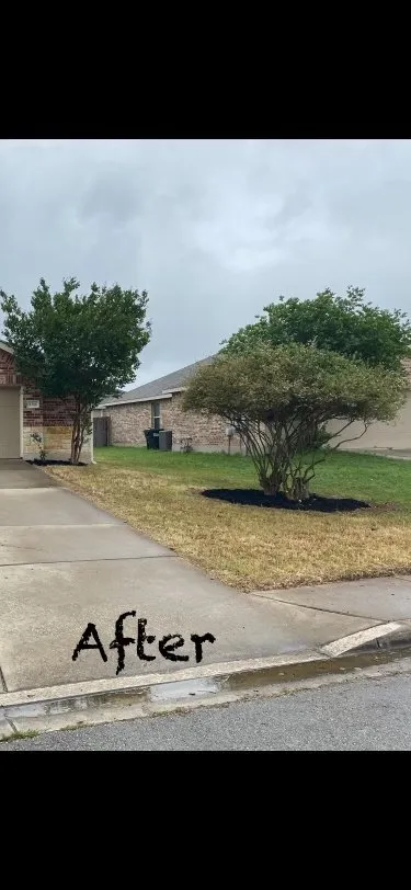 Custom residential landscaping experts serving San Marcos, TX - Texicangal Landscape & Design