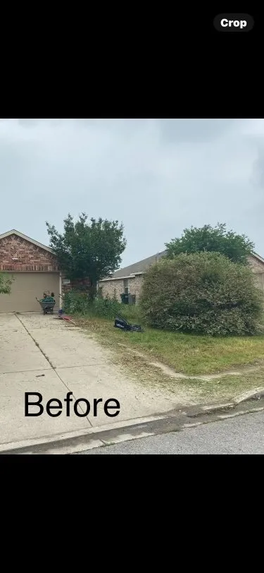 Custom yard cleanup service in San Marcos, TX by Texicangal Landscape & Design