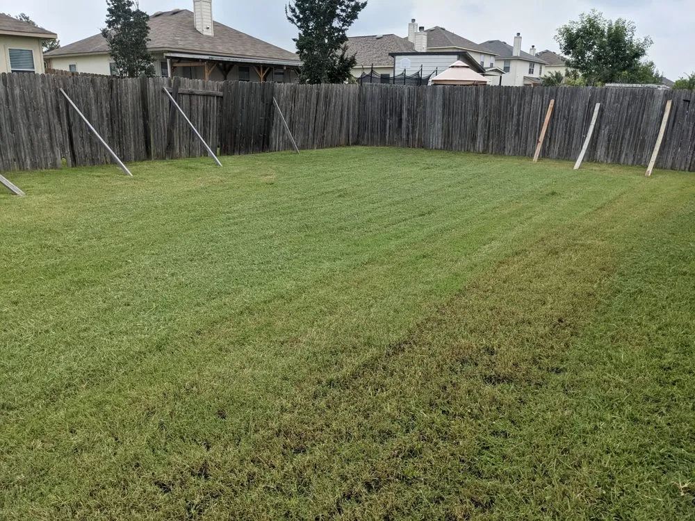 Professional landscaping services in Hutto, TX - Texicano Lawn Care