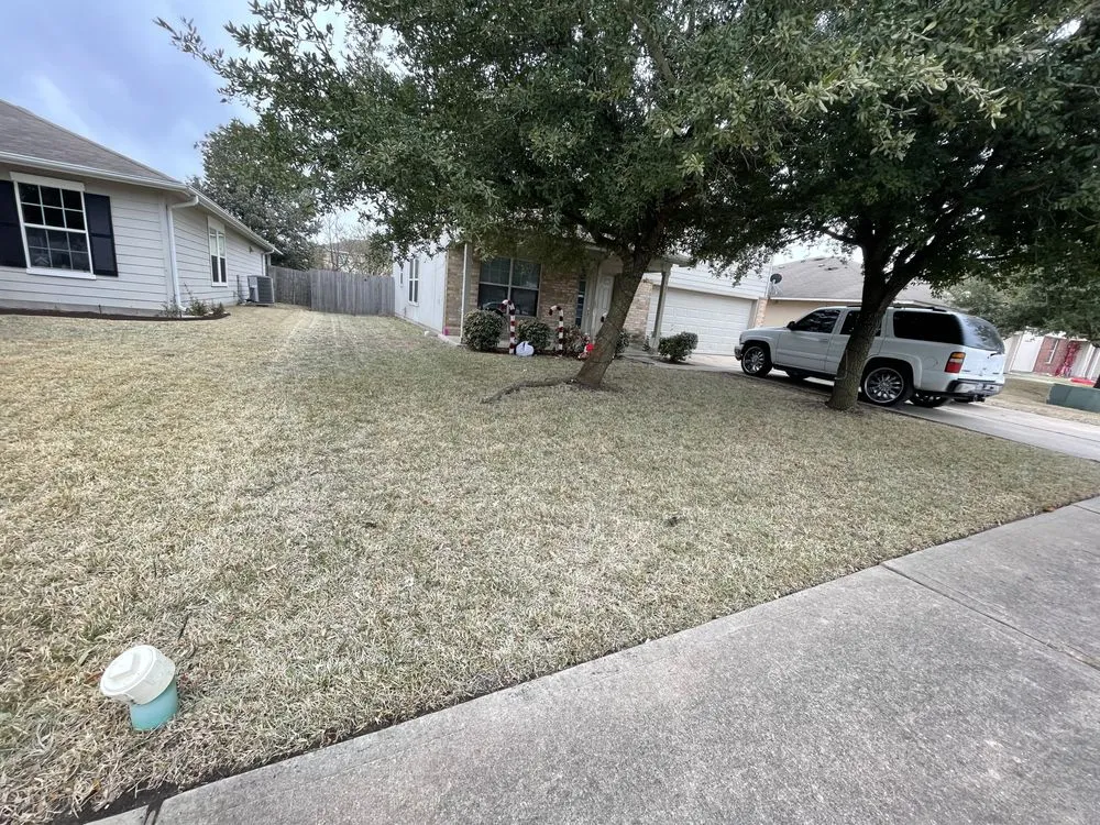 Custom outdoor landscaping in Hutto, TX - Texicano Lawn Care