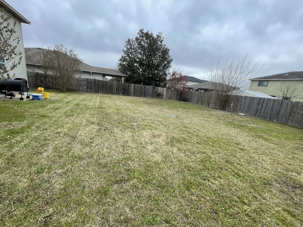 Reliable landscaping services in Hutto, TX - Texicano Lawn Care