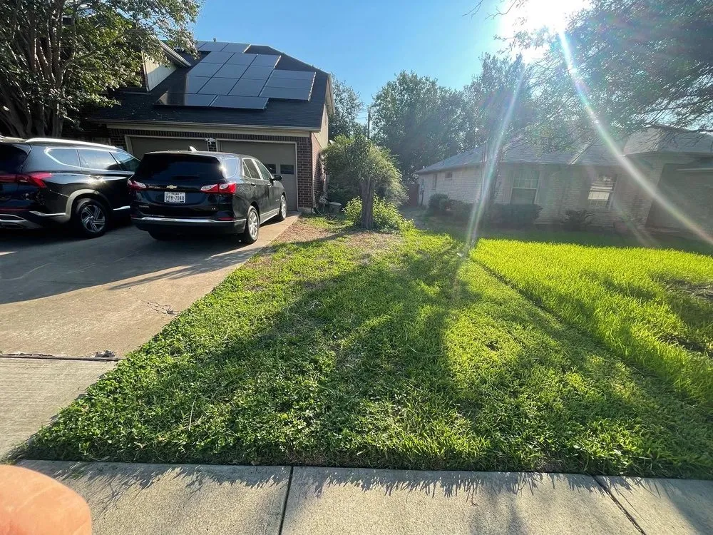 Professional lawn mowing service experts serving Hutto, TX - Texicano Lawn Care