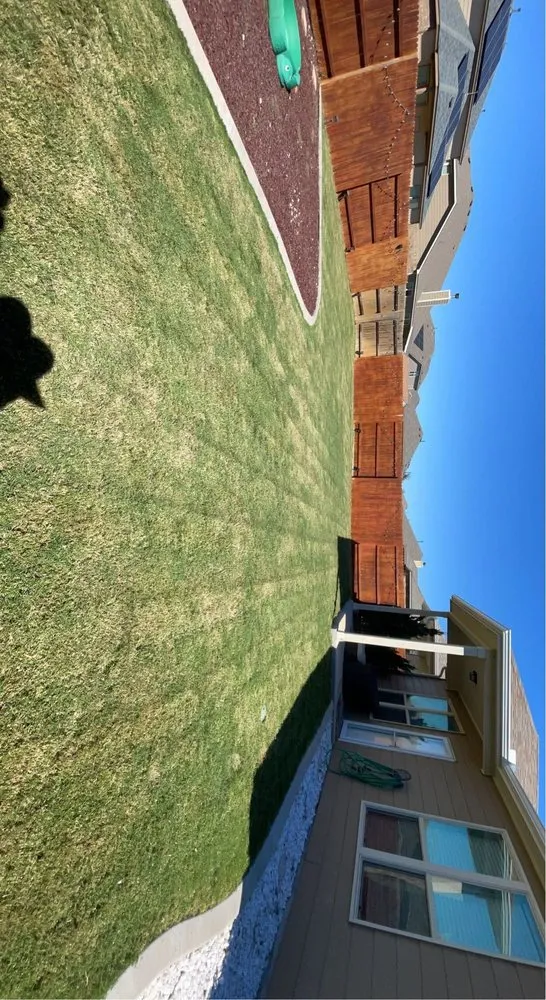 Affordable yard maintenance experts serving Hutto, TX - Texicano Lawn Care