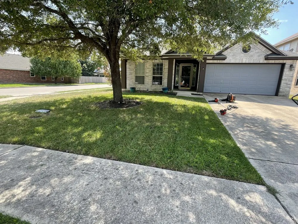 Professional yard maintenance for year-round maintenance across Hutto, TX - Texicano Lawn Care
