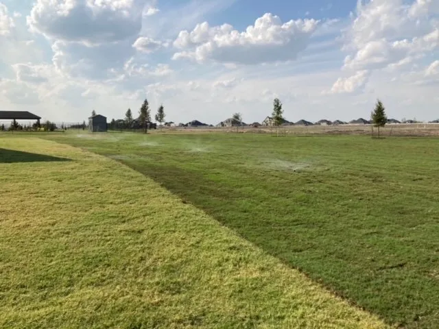 Custom garden landscaping experts serving Van Alstyne, TX - Texoma Grass Guys