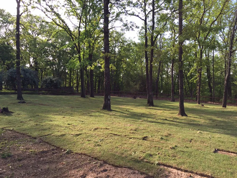 Reliable lawn mowing service experts serving Madill, OK - Texoma Horticulture