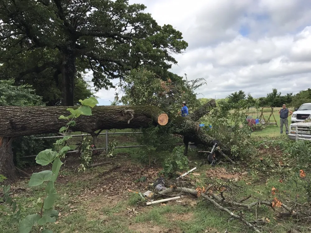 Professional yard cleanup service in Madill, OK - Texoma Horticulture