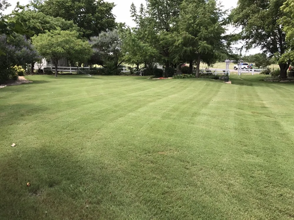Professional yard cleanup service for residential properties in Madill, OK by Texoma Horticulture