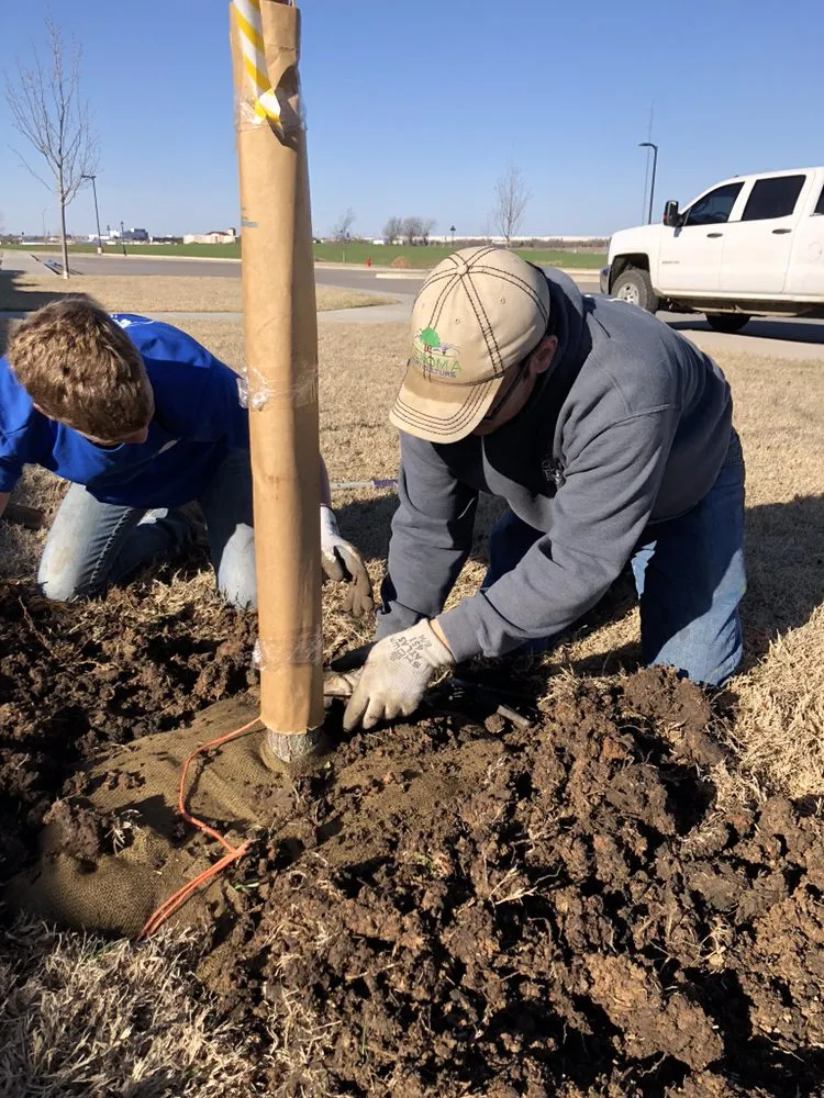 Professional yard cleanup service in Madill, OK by Texoma Horticulture