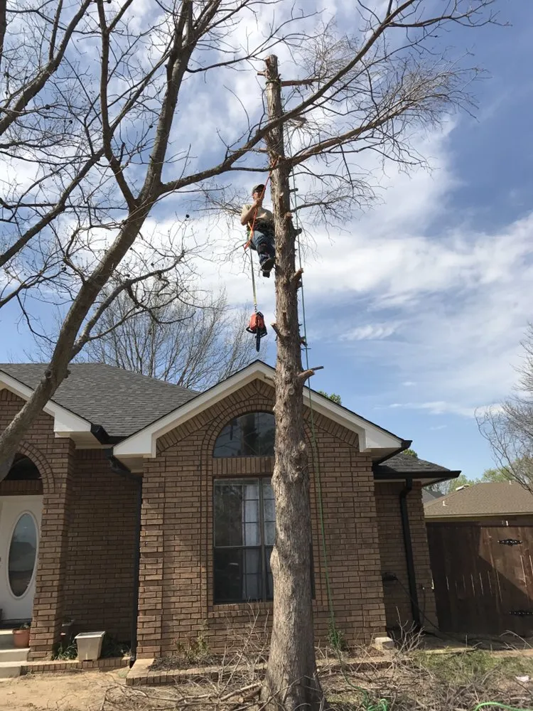 Local lawn care service in Madill, OK by Texoma Horticulture
