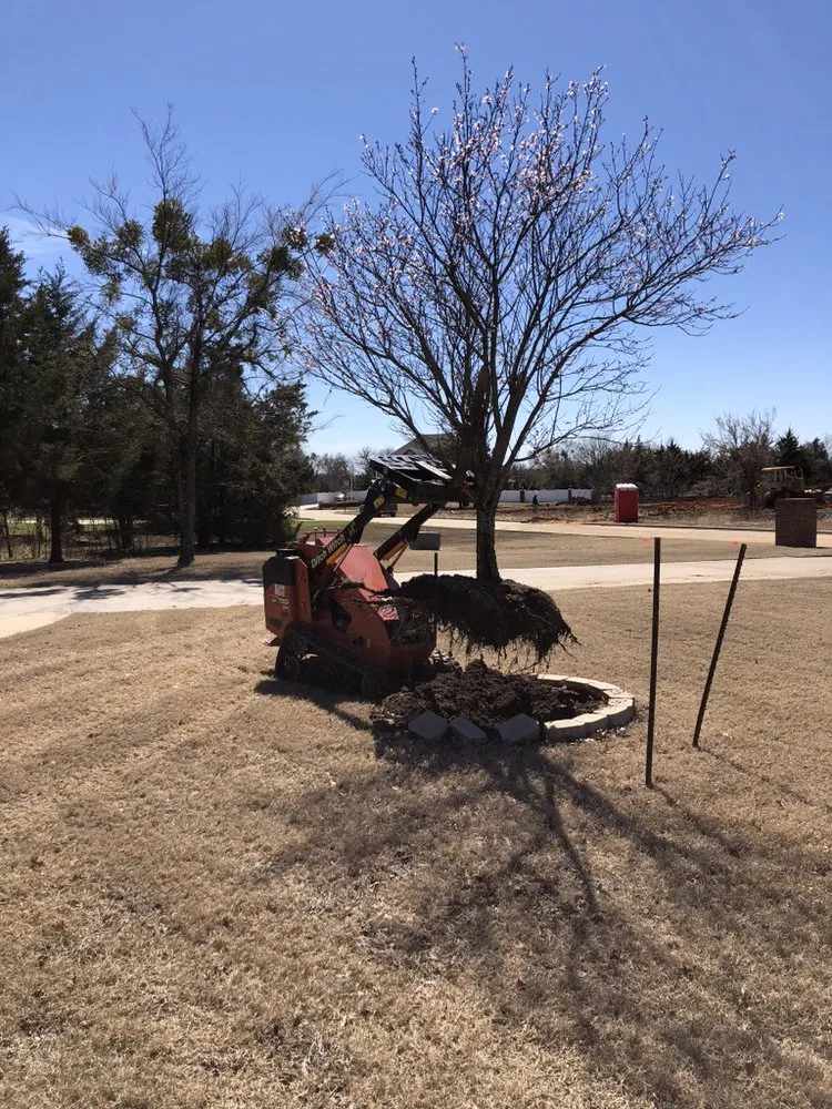 Affordable landscaping services in Madill, OK - Texoma Horticulture