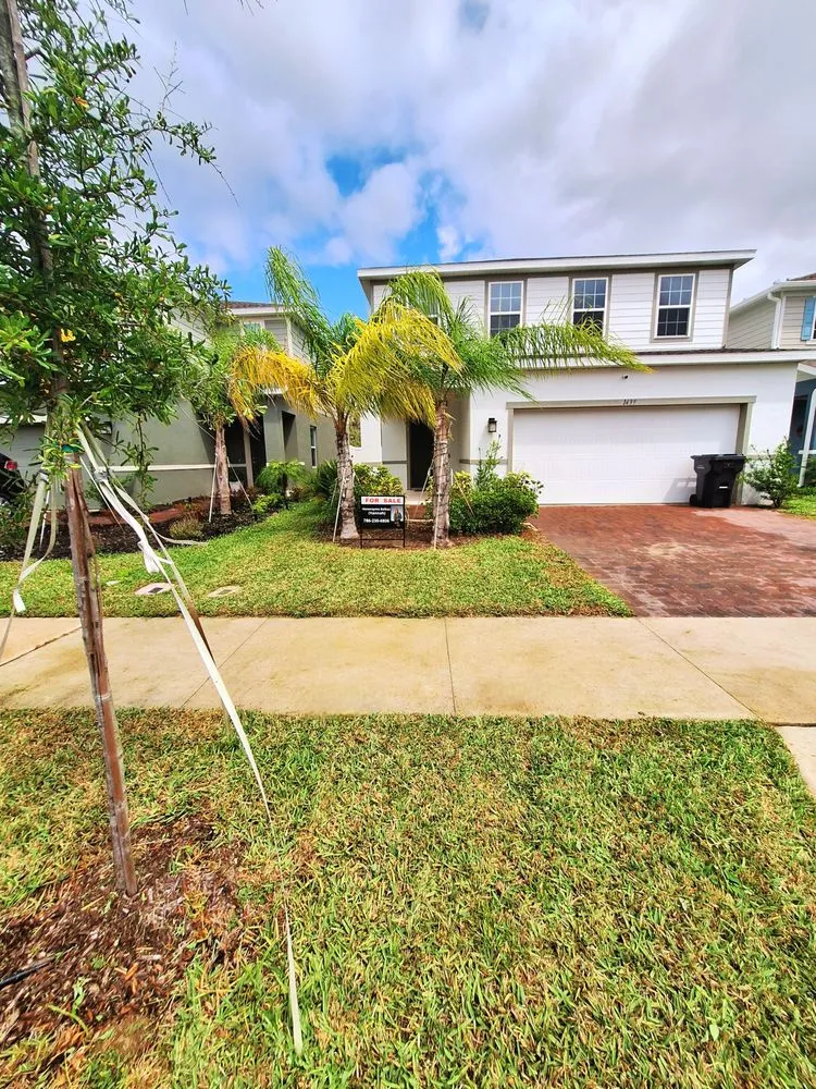 Trusted yard maintenance in Davenport, FL by Tex's Land Services